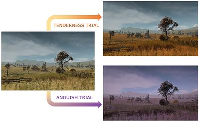 Emotion Regulation Using Virtual Environments and Real-Time fMRI Neurofeedback